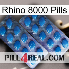 Rhino 8000 Pills viagra2